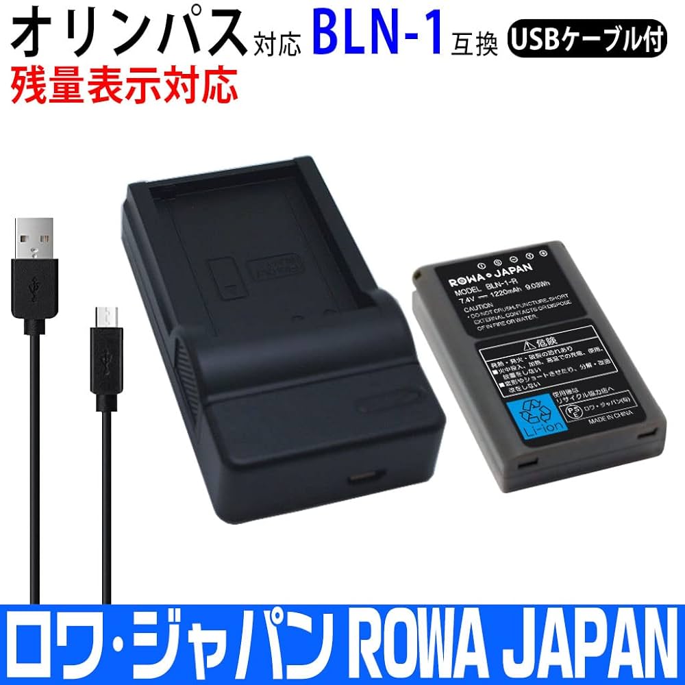 オリンパスペン　E-P1　手振正常　ボディ　純正フラッシュ　充電器　バッテリー オリンパスペン E-P1 手振正常 ボディ 純正フラッシュ 充電器